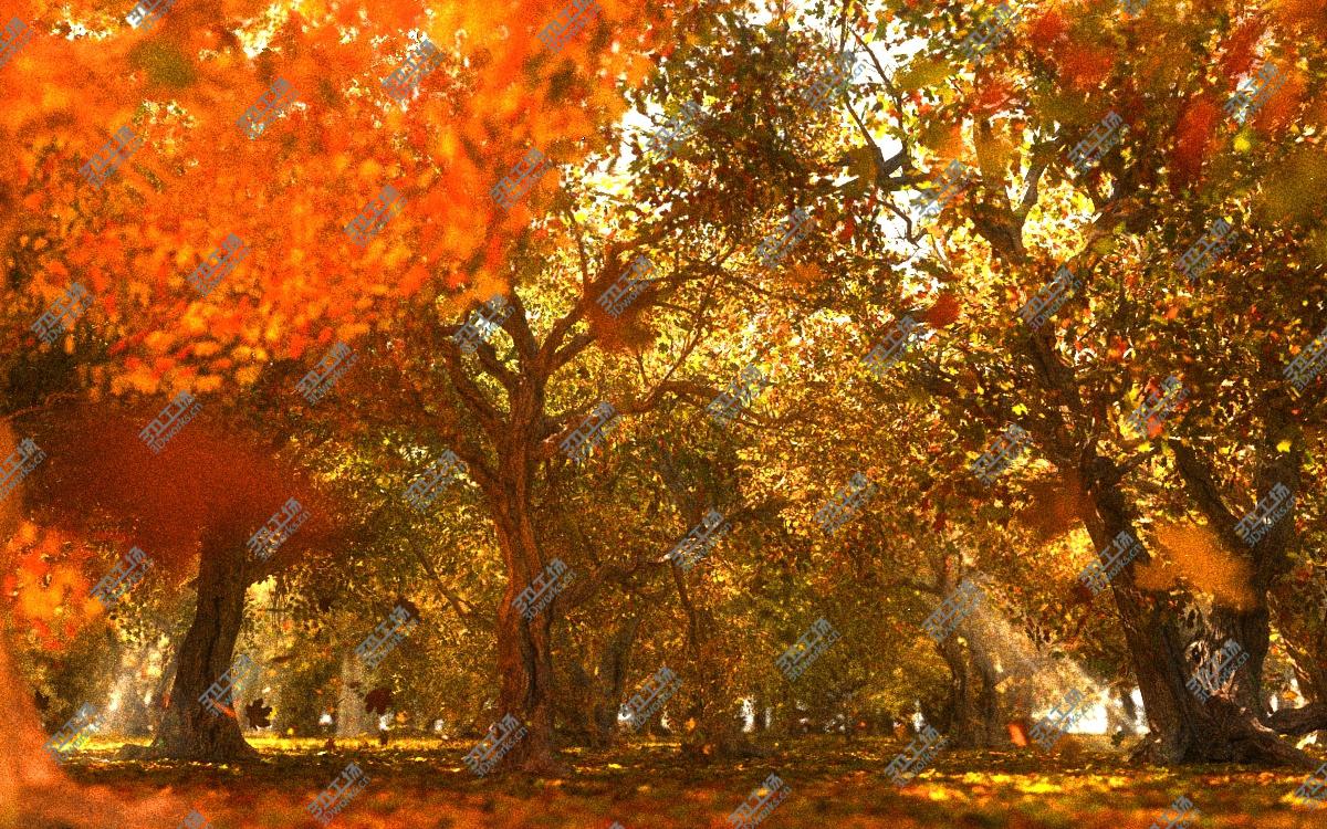 images/goods_img/202105073/Autumn Forest Animated 3D/4.jpg